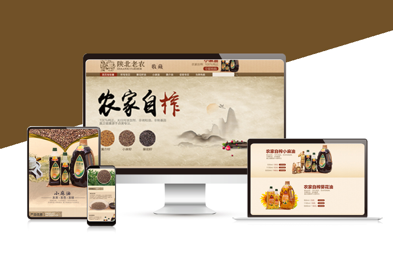 陜北老農(nóng)小麻油 整店裝修設(shè)計