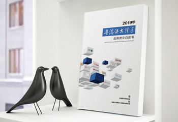 粵港澳大灣區(qū)品牌房企白皮書(shū)封面